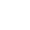 Div Gov